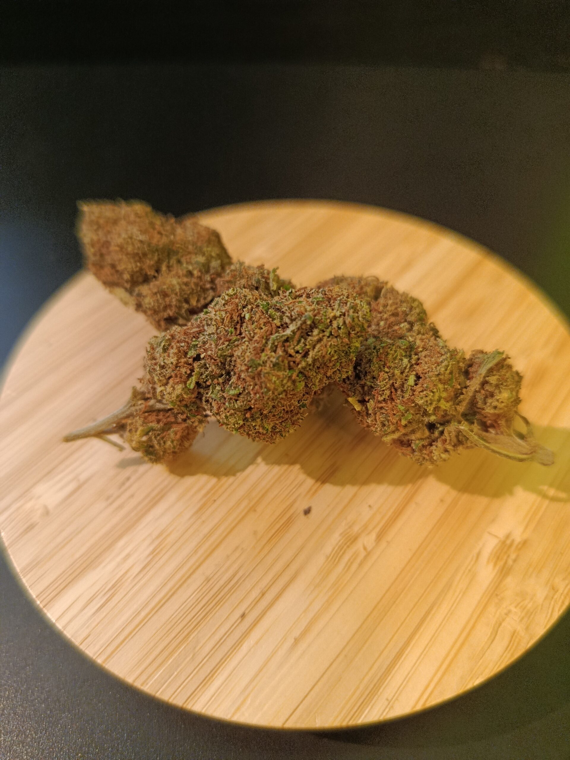 Fleurs CBD - Skittlez CBD - Kaly Sensi Annonay